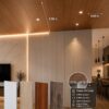 Plafones de PVC decorativos para interiores modernos